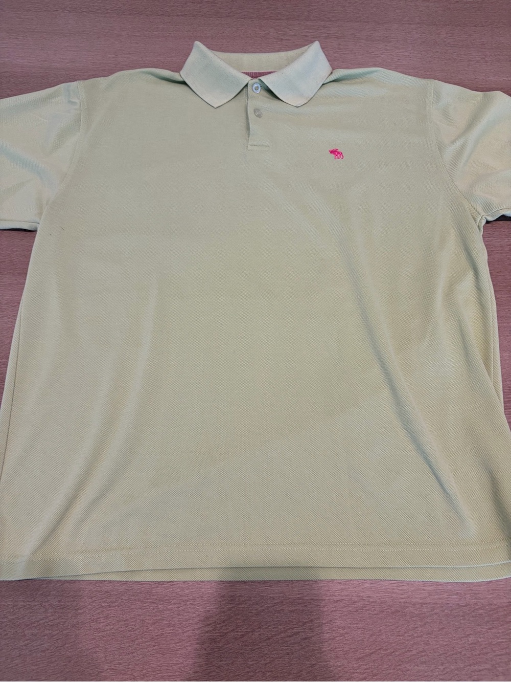 Abercrombie & Fitch Light Mint Polo with Pink Logo